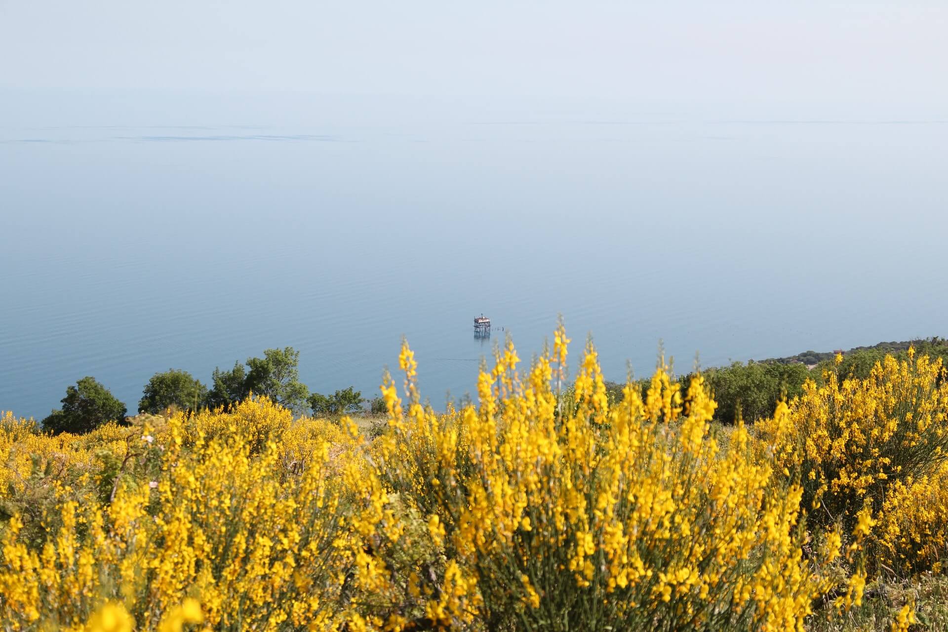 Fotograf Halmstad orter.
