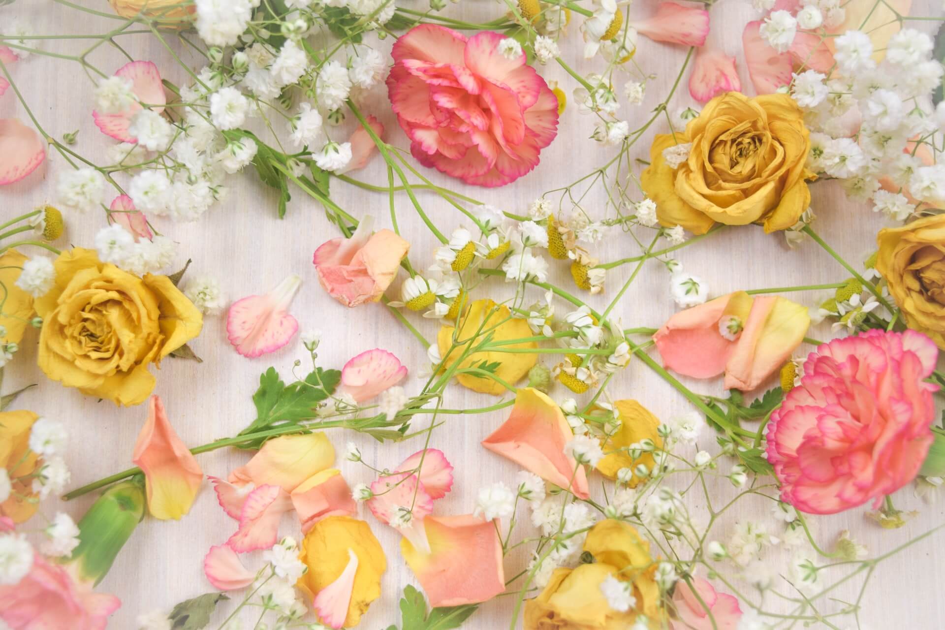 Halmstad bröllopsfest.