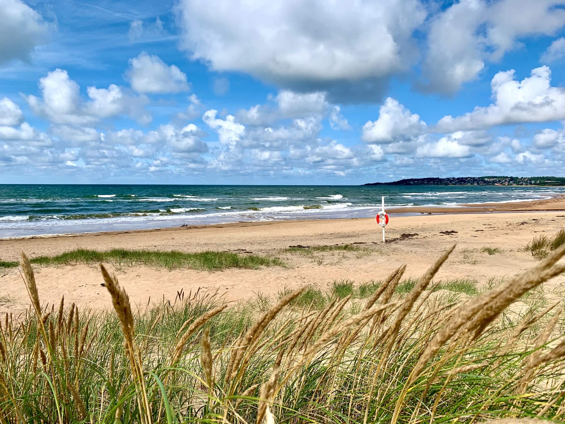 Naturfotografering Halmstad.